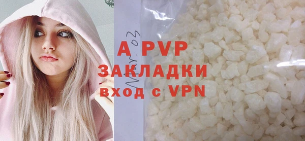 шишки Верея