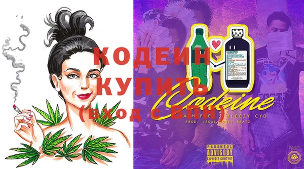 шишки Верея