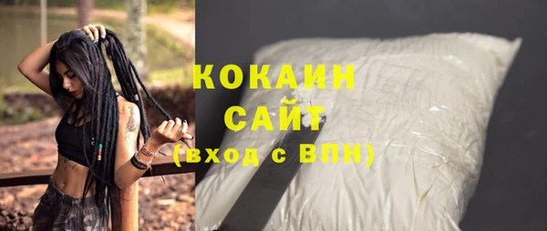 шишки Верея