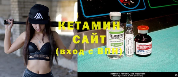 шишки Верея