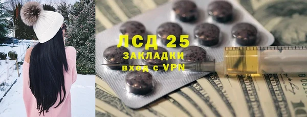 шишки Верея