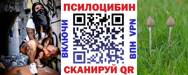 OMG сайт  Давлеканово  Псилоцибиновые грибы прущие грибы 